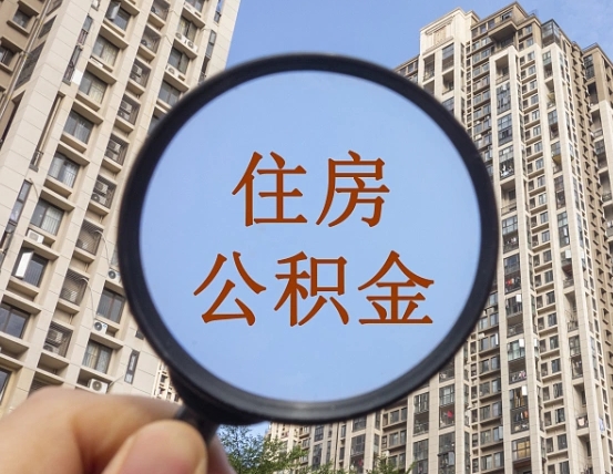 大兴安岭退休后查不到公积金明细了吗（退休后公积金查询不到原因）